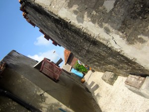 the homes of shell island 