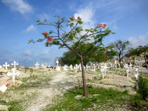 the shell island cemetery 