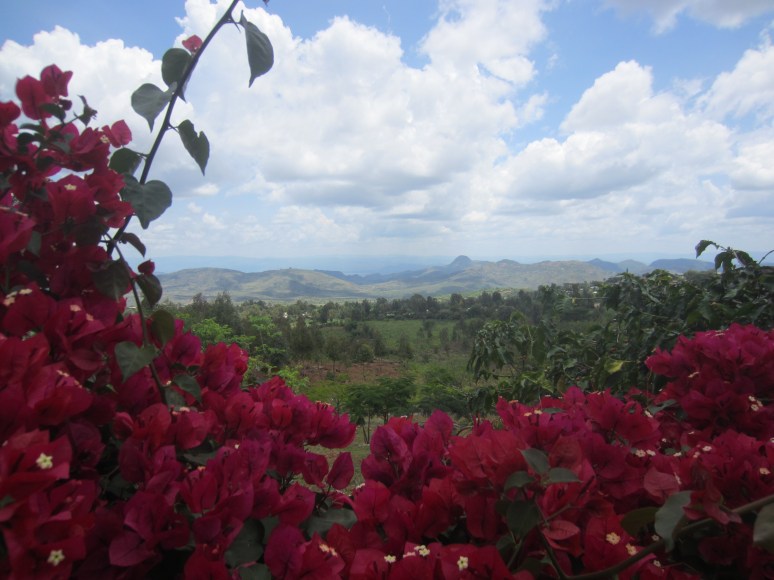 the great rift valley 